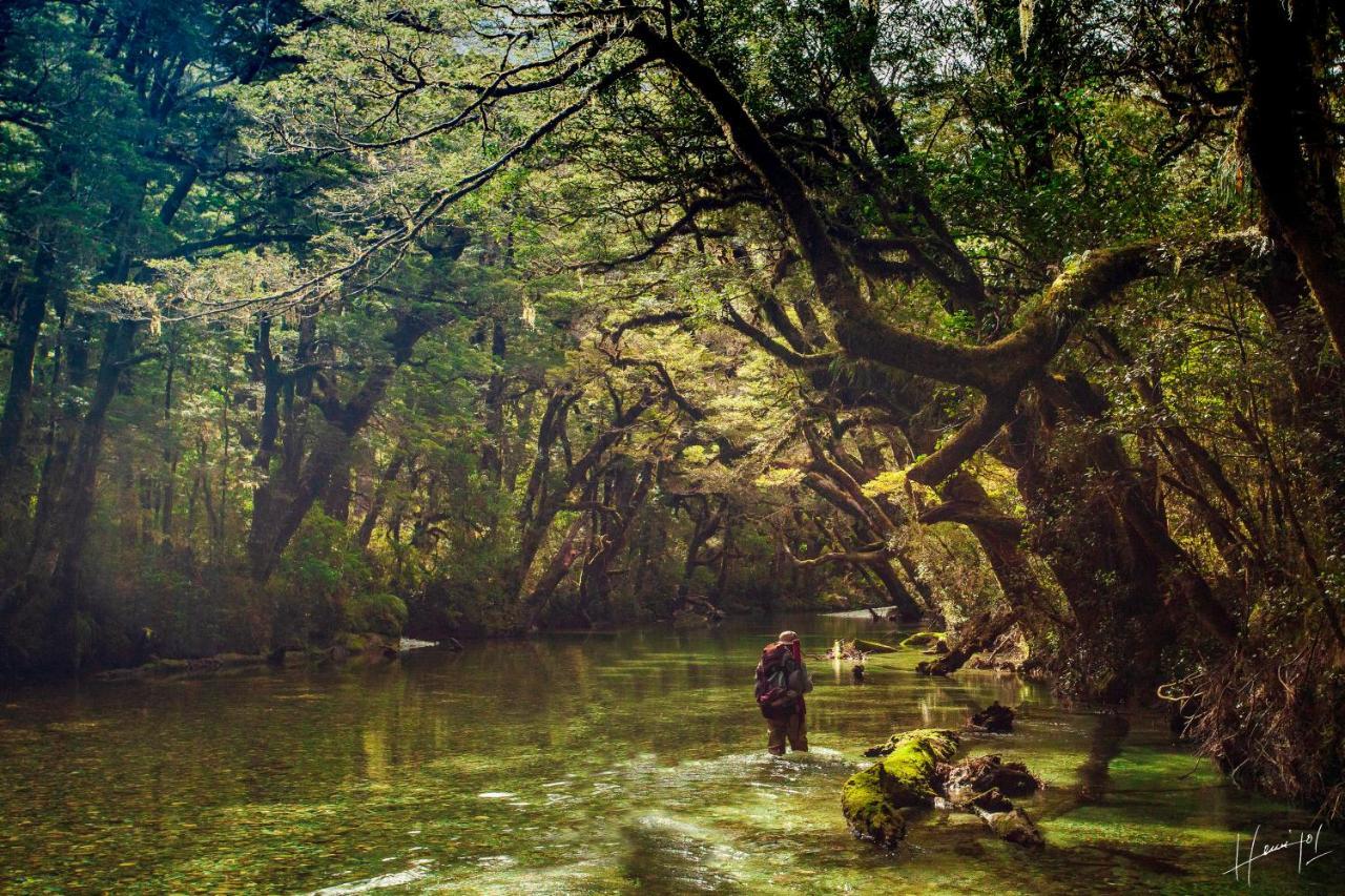 Hermoso Eco Lodge San Martín de los Andes 外观 照片