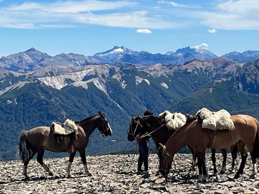 Hermoso Eco Lodge San Martín de los Andes 外观 照片